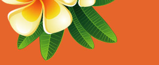 �^�C�Î��}�b�T�[�W�Ⓦ�J���j�J�X�p